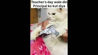 #viral #trending #popular #cat #fire