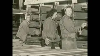 Pauline Bunyans and Lumberettes: Women in the Workforce during WWII