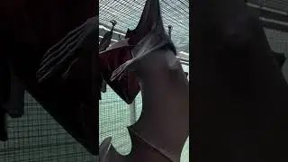 RAPOSA-VOADORA! O MAIOR MORCEGO DO MUNDO.