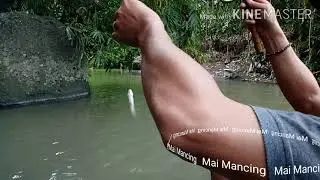 Mai Mancing#5 MUNGILLLL tapi GURIHHHH...