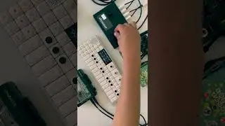 taped #chasebliss #monome #synth #tapeloop #sampling #ambientmusic #sounddesign #teenageengineering
