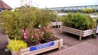 Taverham Nursery | Norfolk