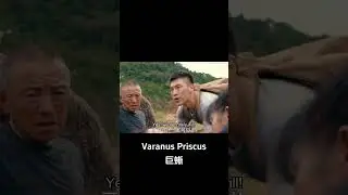 A giant lizard versus a giant snake: who will prevail? |【巨蜥 Varanus Priscus】| YOUKU MOVIE | 优酷电影