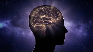 Decoding Your Brainwaves: The Mind's Hidden Language Revealed!