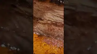 Big SAL's Brisket👀!!, #foodie, #Food, #bbqbrisket, #bbq, #lesbbq.com, #BrooklynNY
