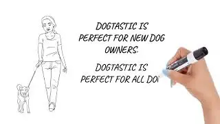 What is The Dogtastic Box