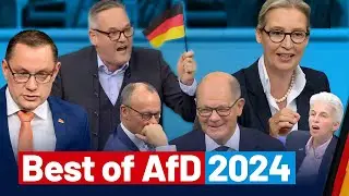 Emotionen, Kurioses und klare Kante! &ndash; Best of AfD-Fraktion im Bundestag 2024!