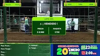 Subasta Virtual - Presencial San Pedro (E)2 21/01/2026