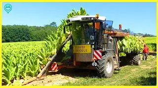 Modern Agriculture Machines That Will Amaze you &ndash; 11 | AHAA! Technology