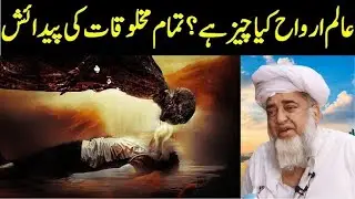 What Is the Spirit World  Rooh Ki Dunya  What Is the Soul in Islam  Birth of All Creatures