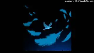 IKIMONO GAKARI, NûeL Silva - Blue Bird (Kuduro Remix) | Naruto Shippuden OP3
