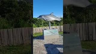 Est&aacute;tua do Boto da Lagoa dos Patos, Cassino e Rio Grande RS. 12.1.26