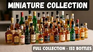 Miniature Alcohol Bottle Collection 2025 | Mini Liquor Bottles | Whisky Rum Gin Tequila #miniature