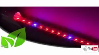Tube LED Horticole SMD 3528 Longueur 600mm