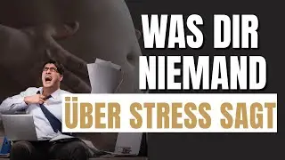 Stress macht Unternehmer DICK? Wie du dein Abnehmen nicht mehr blockierst!