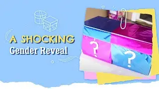 A Shocking Gender Reveal