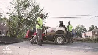Vegetation Control | WiseGuys Lawn & Landscape