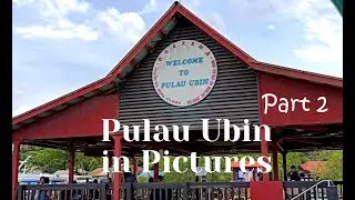 Pulau Ubin in Pictures Part 2 - August 2020
