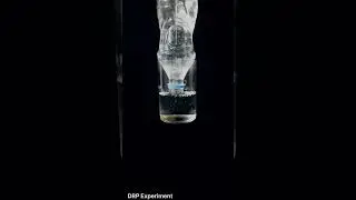 water + battle experiment💧 #trendingnow #shorts #scienceexperiment