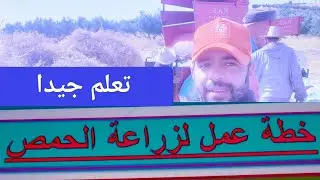 دورة شاملة لزراعة الحمص من الزرع إلى الحصاد خطوة بخطوة للمبتدئين والمحترفين