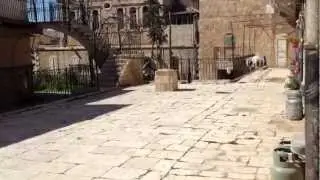 בתי ראנד 3