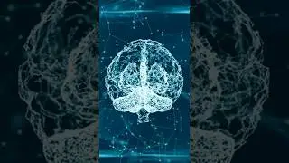 Fuel Your Mind: The Best Foods for Brain Health 🧠🧠🧠 #brainpower #brainboosters #wellness #shorts