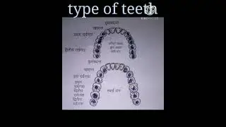 Dato ke prakar//#Type of teeth///##