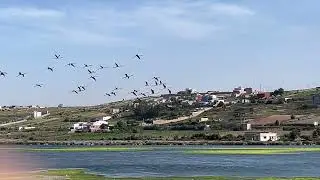 Un lieu paradisiaque (La plage de Sidi Moussa).