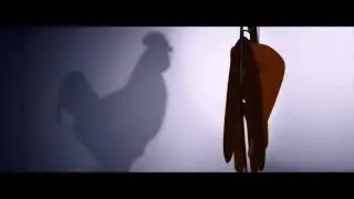 Path&eacute;/Belgian Cinema From Flanders (2023) [PAL]