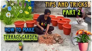 Terrace Garden 🪴🪏tips and tick&rsquo;s | Plant&rsquo;s care #youtube #vlog #garden #plants 