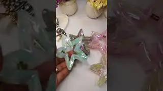 Star Claw Clips | Trendy Hair Accessories 2025 | Strong Grip & Stylish Look | ClawnStar Clips Review