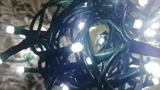 Riža led lampice-3m