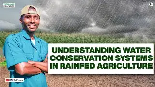 Ensuring Sustainable Growth: Understanding Rainfed Agriculture Water Conservation Strategies