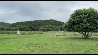 A deadly archer! Смертоносный лучник!