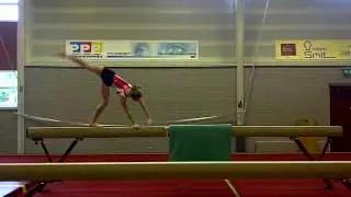 GVTHOR - Dorieke arabier balk