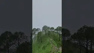 #mountains #clouds #gothic #mountainview #mountainlife #monsoon #song #bollywood #music #garden