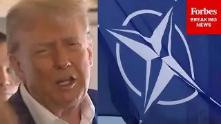 SHOCK COMMENT: Trump Claims There Are 'Numerous Definitions' Of Article 5 En Route To NATO Summit