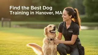 Find the Best Dog Training in Hanover Massachusetts