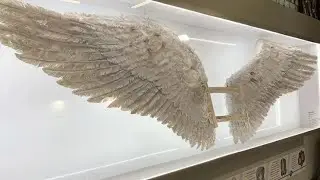 ‎serenism ♱