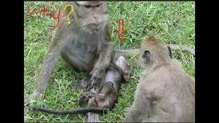 omg! Why do like this on Lori? Lori cries loudly angry it's mommy