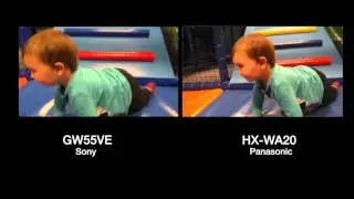 CyberPhoto - Sony GW55VE vs. Panasonic WA-20
