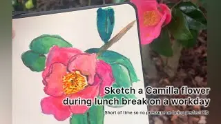 Sketch a camellia flower with me
