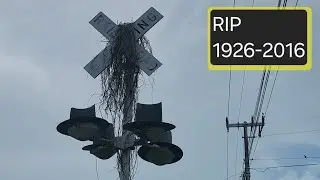 Last Time Train Stopped at Abandoned Railroad Crossing
