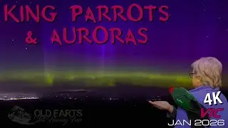 Parrots and Auroras Blackwood VIC Jan2026