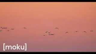 [moku] - 1: The start