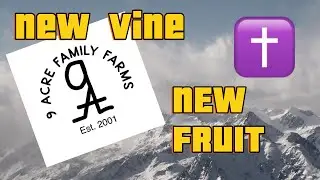 New fruit, New vine Dales Devotional's
