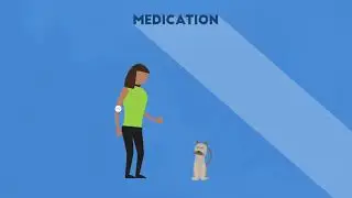 Pet Dental Home Recovery Animal Medical Clinic Peachtree City Fairburn