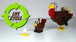 LEGO Turkey Life Cycle - LEGO Thanksgiving Ideas