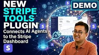 How the Stripe Tools plugin works with Claude Code