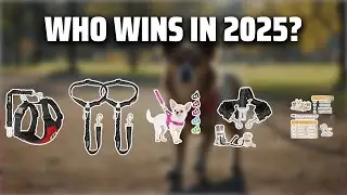 The Top 5 Best Dog Harness in 2025 - Must Watch Before Buying!
